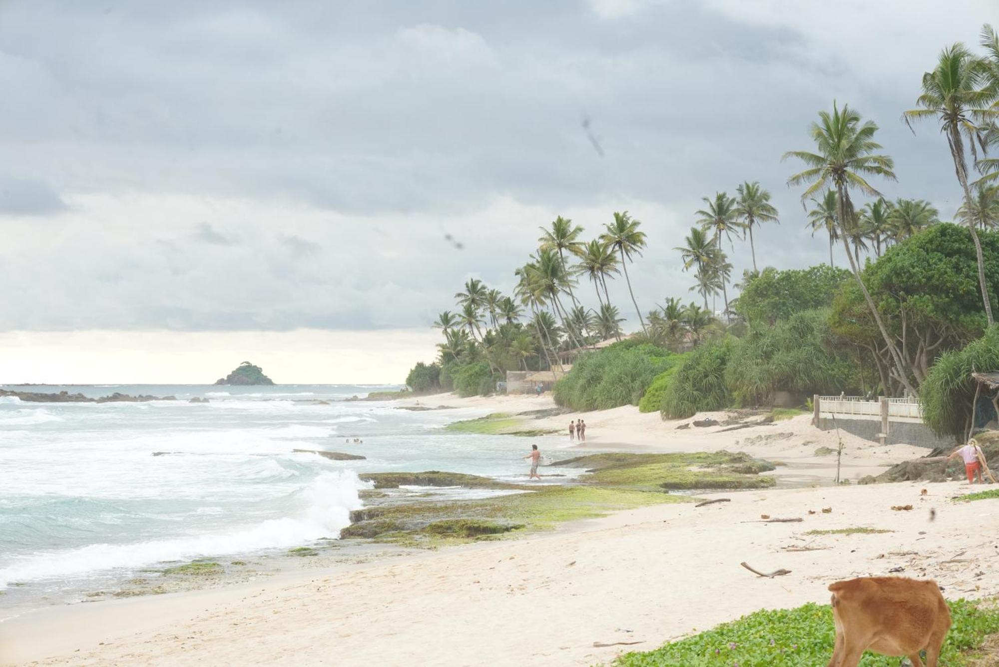 Surf Orchid Villa Weligama Zewnętrze zdjęcie