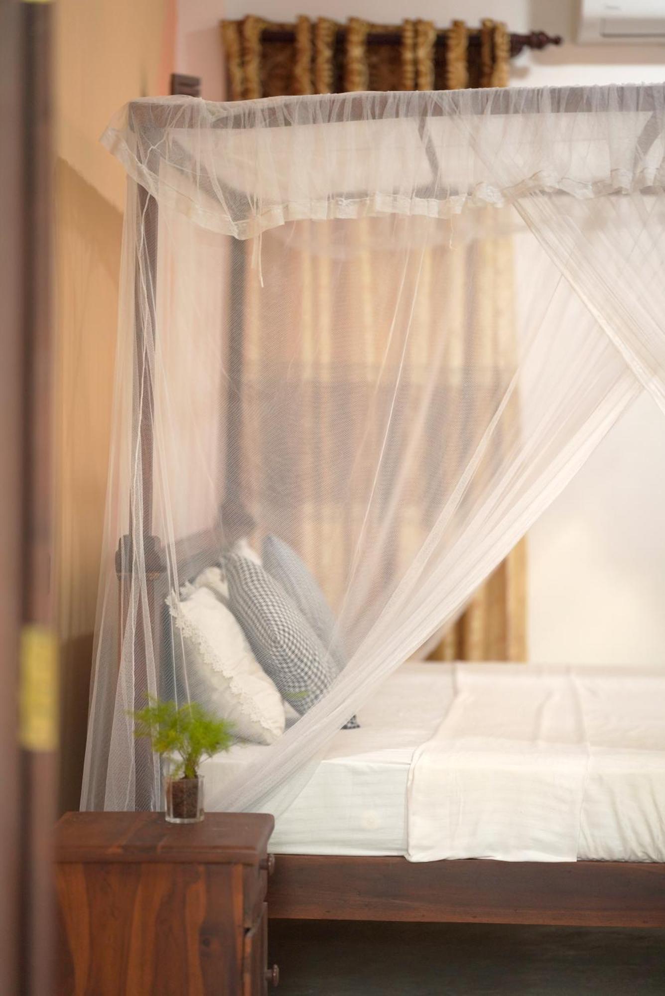 Surf Orchid Villa Weligama Zewnętrze zdjęcie